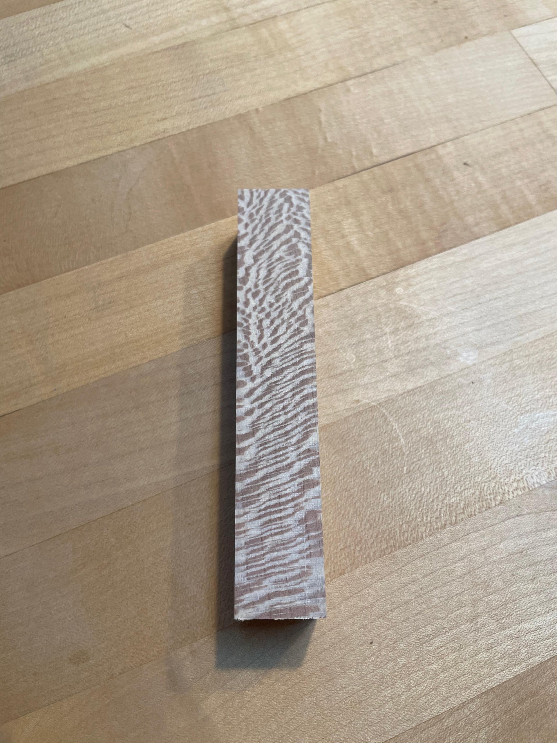 Platane Penblanks (1 Stk.)